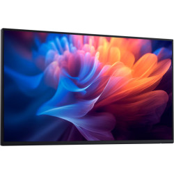 Dell Pro 27 Plus Monitor - P2725H without stand