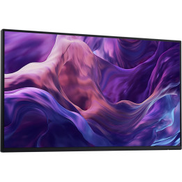 Dell Pro 24 Plus USB-C Hub Monitor - P2425HE without stand