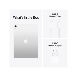 IPAD WIFI 256GB SLV-ESE