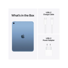 IPAD WF CL 256GB BLU-ESE