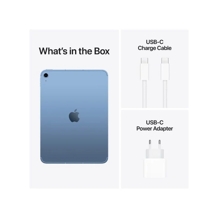 IPAD WF CL 256GB BLU-ESE
