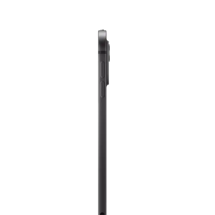 IPAD PRO 11 WIFI 1TB SP BLK-ESE