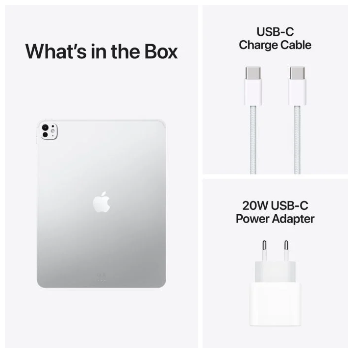IPAD PRO 13 WIFI 256GB SLVR-ESE