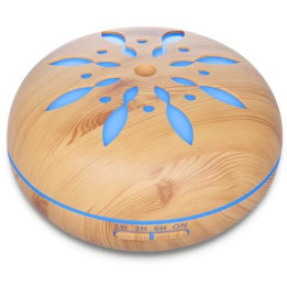 ATOMISER 550ML
