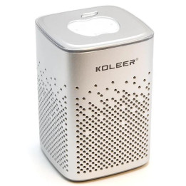 BLUETOOTH SPEAKER