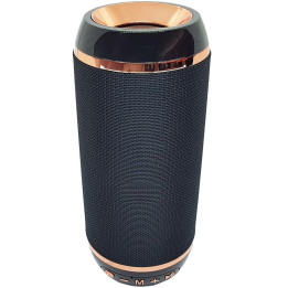 R4 BLACK BLUETOOTH/USB/FM/M-SD