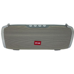 HY29 GREY BLUETOOTH/USB/FM/M-SD