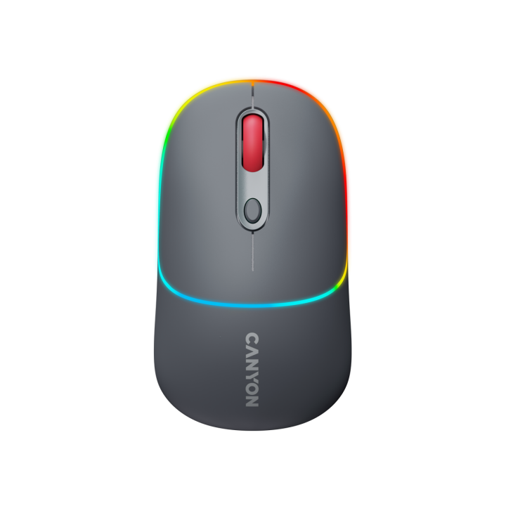 CANYON mouse MW-22 2in1 BT/ Wireless Dark Grey