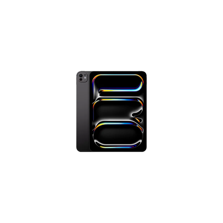 IPAD PRO 11 WIFI 256GB SBLK-ESE