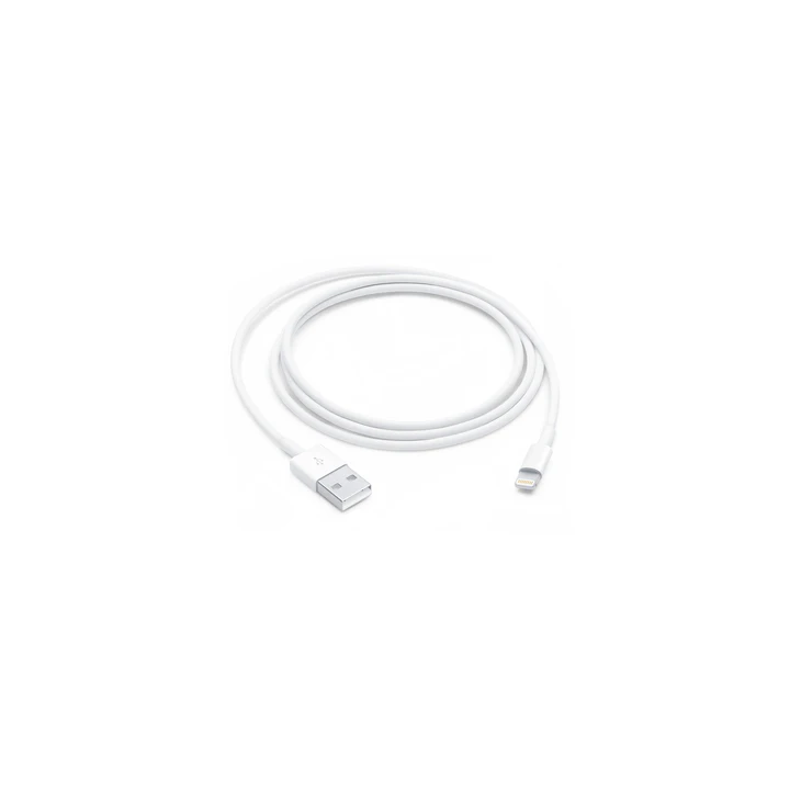 Lightning to USB Cable (1m)