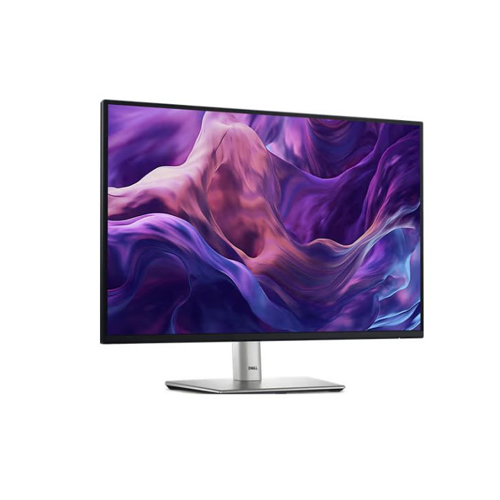 Dell Pro 24 Plus Monitor P2425 - 24.1-inch WUXGA 16:10 IPS Monitor - 1920 x 1200 - 100Hz