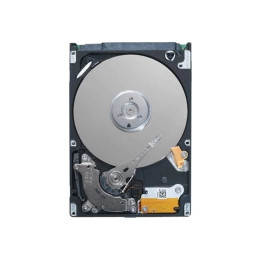 Dell 2TB 7.2K RPM NLSAS 12Gbps 512n 3.5in Cabled hard drive