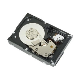 Dell Hard Drive/ 4TB/ 7.2k/ Near Line SAS/ 6Gbps/ 3.5/ Non Hot Plug (Cabled) Compatible T20/T110/T330/T430/T630/R230/R330/R430/R