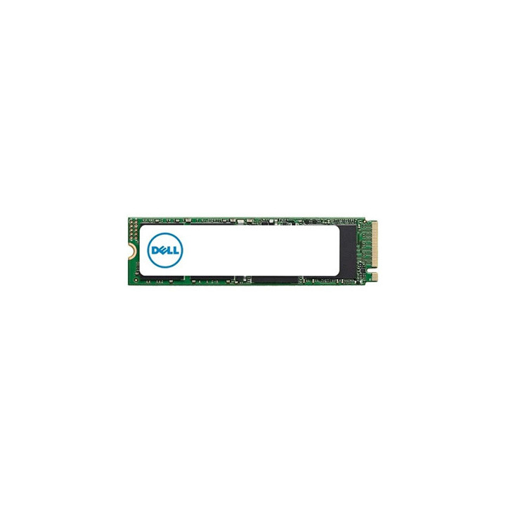 Dell 240GB SSD M.2 SATA 6Gbps 512e Hard Drive Single Stick