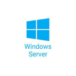 50 pack of Windows Server 2025/2022 User CALs (STD or DC) Cus Kit