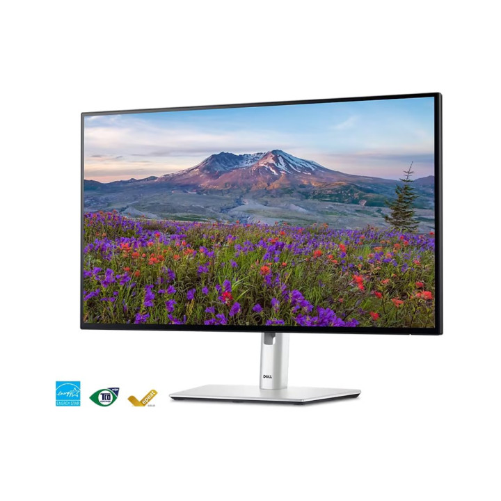 Dell UltraSharp 24 USB-C Hub Monitor-U2424HE 60.47cm (23.8)