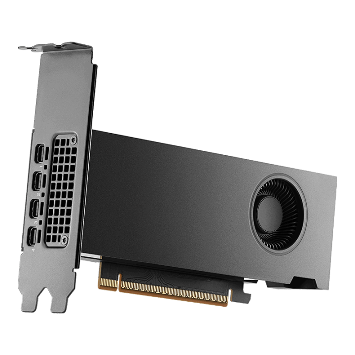 Dell NVIDIA RTX PRO 2000 Blackwell Workstation Edition 16 GB GDDR7 half height PCIe 5.0x8 4 mDP